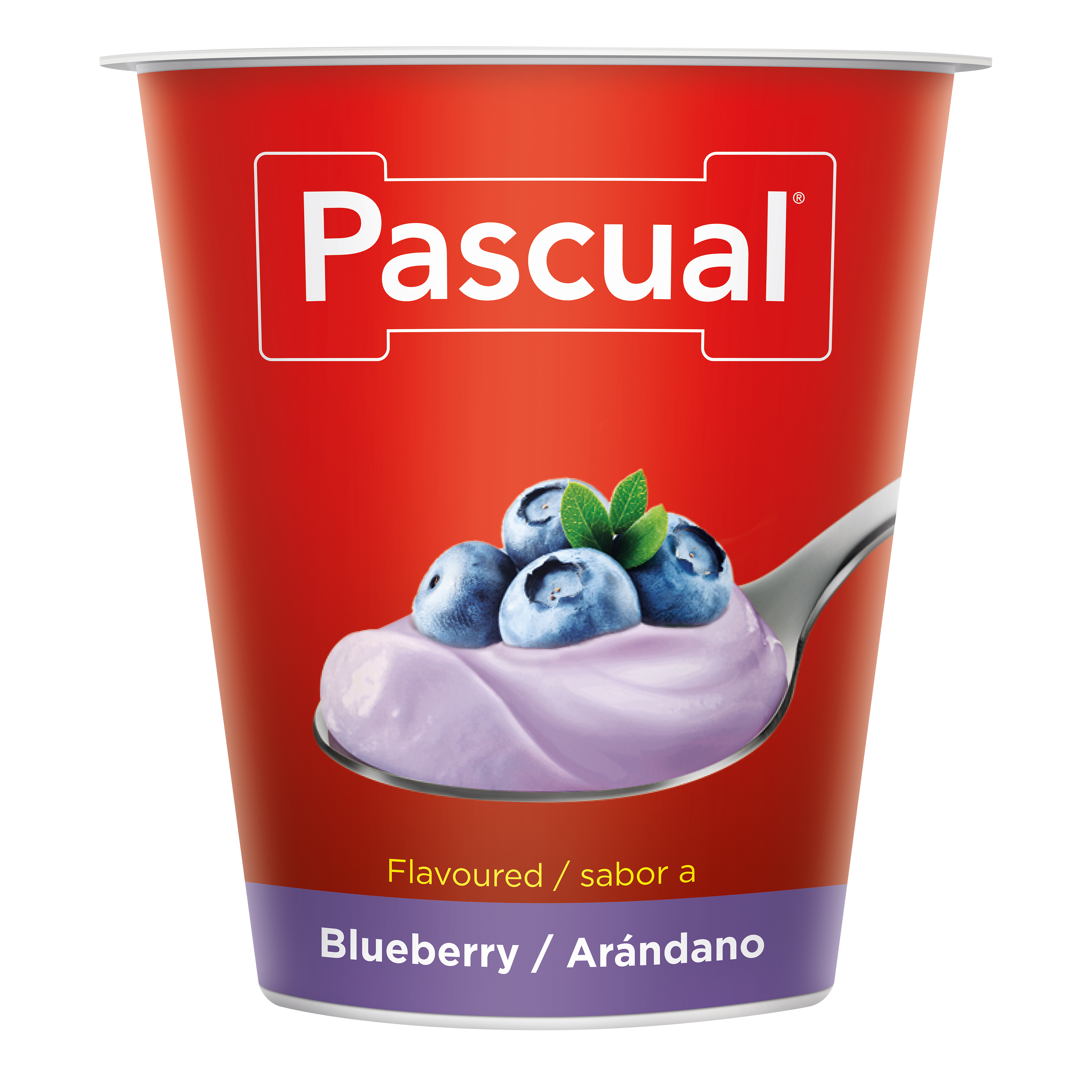 Flavoured Yoghurt Blueberry 120g