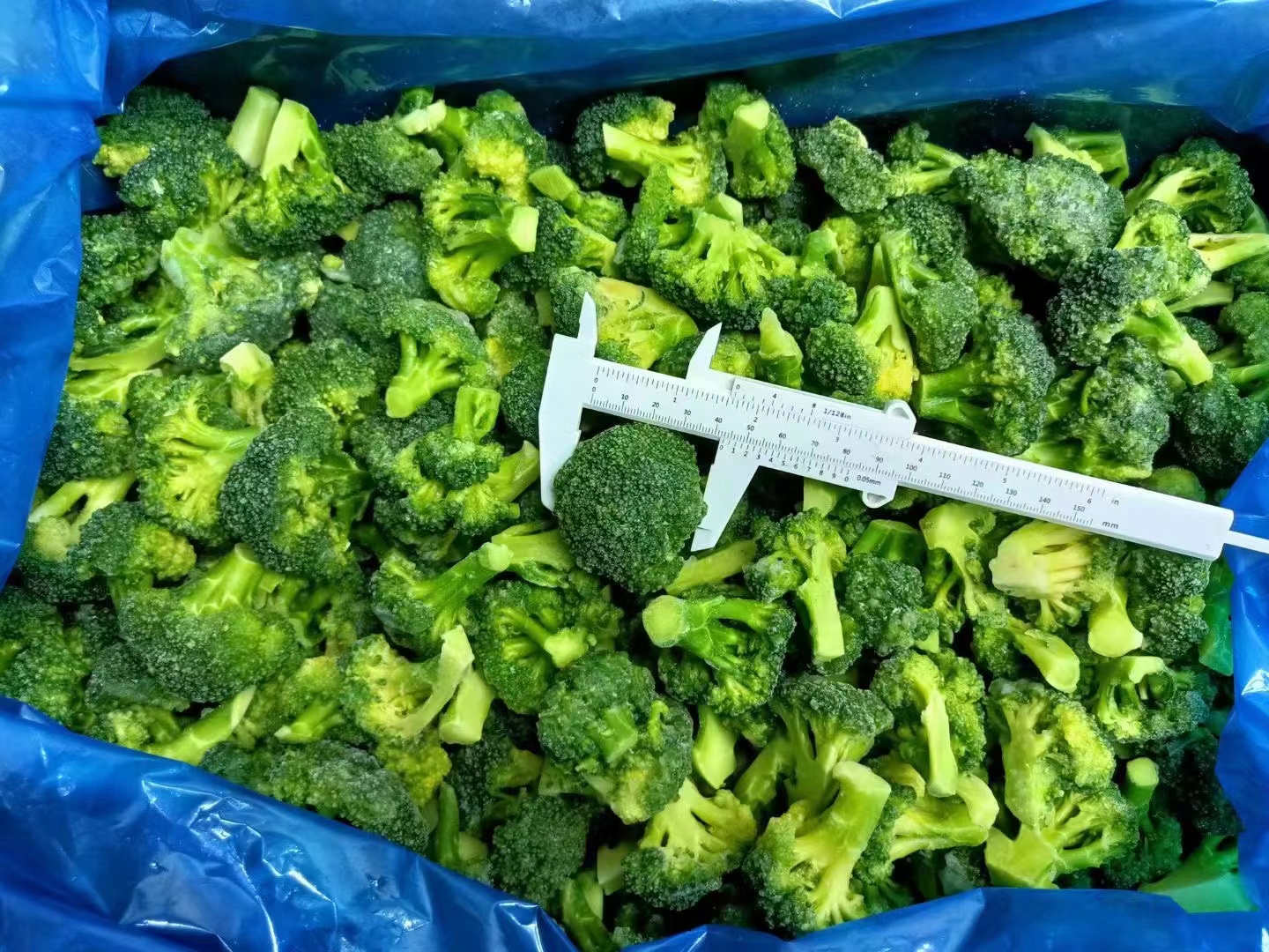 Frozen Broccoli