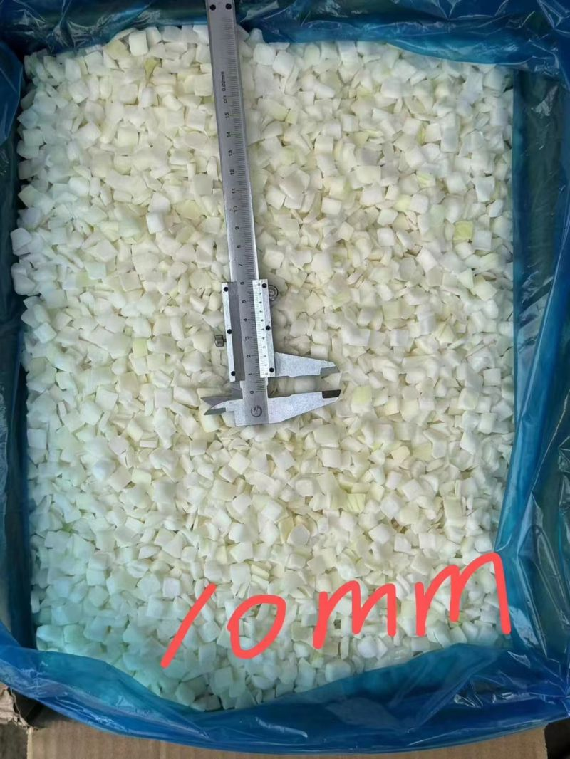 Frozen Onion Slices