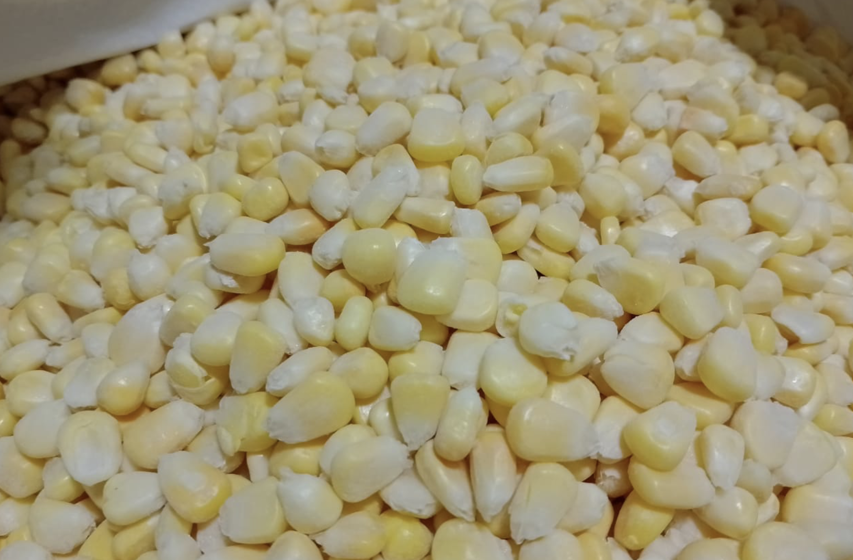 Frozen Sweet Corn