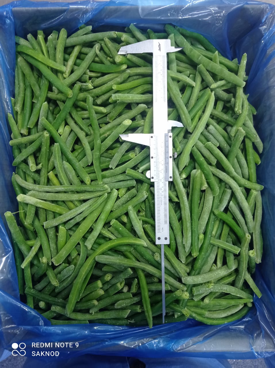 Green Beans