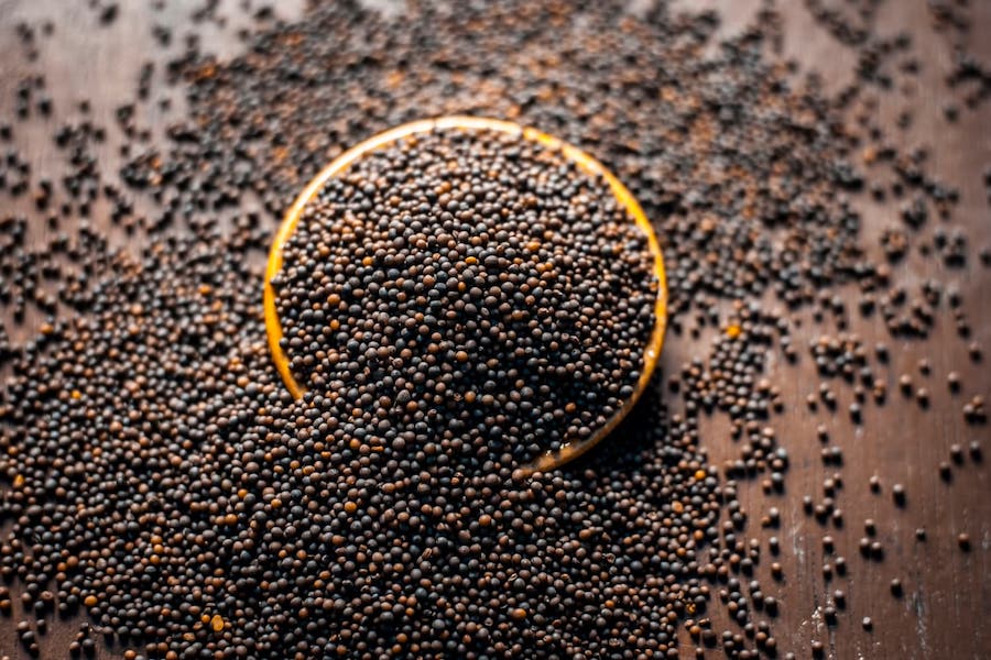 Black Mustard Seeds