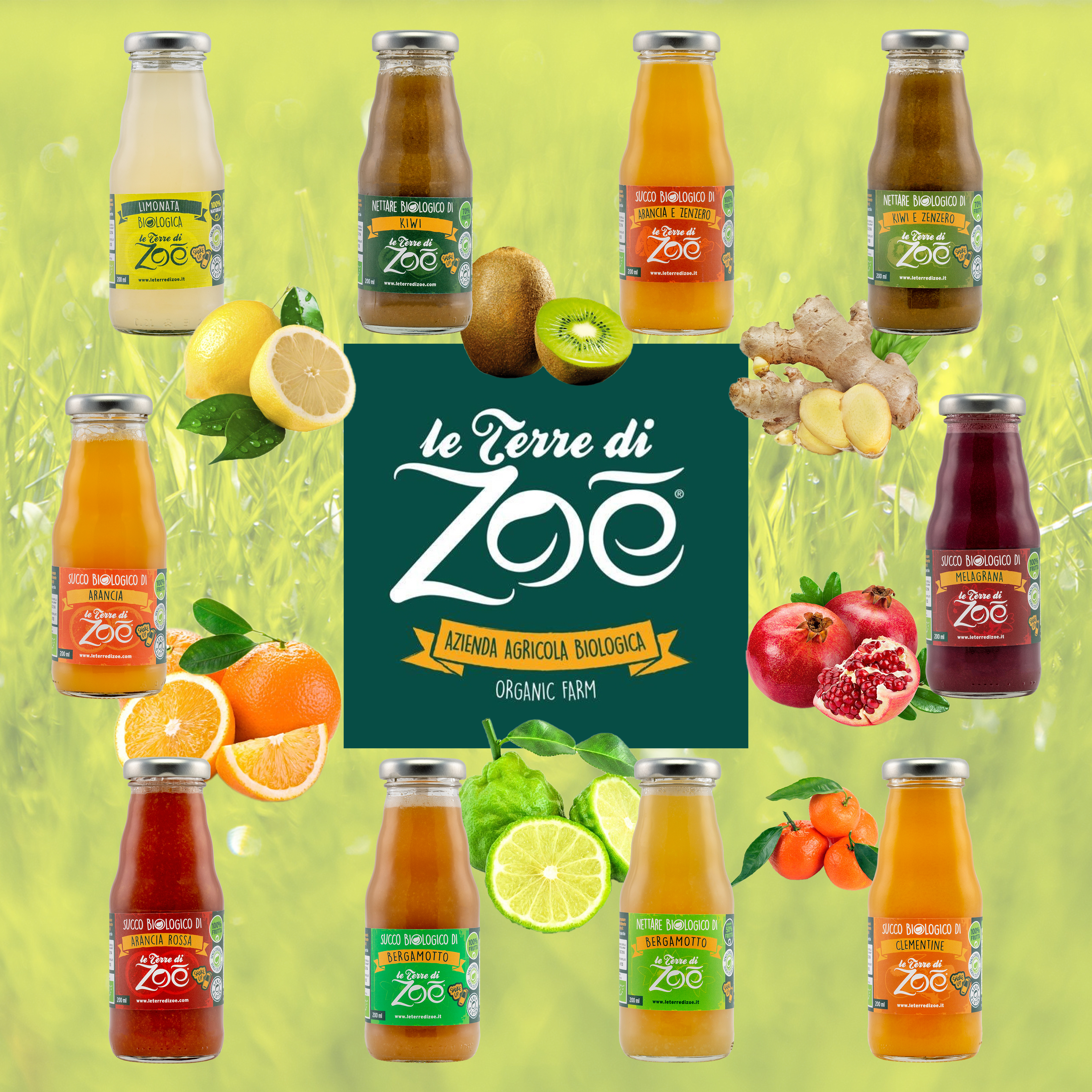 Organic Premium Juice NFC