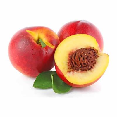 Peach  Nectarines