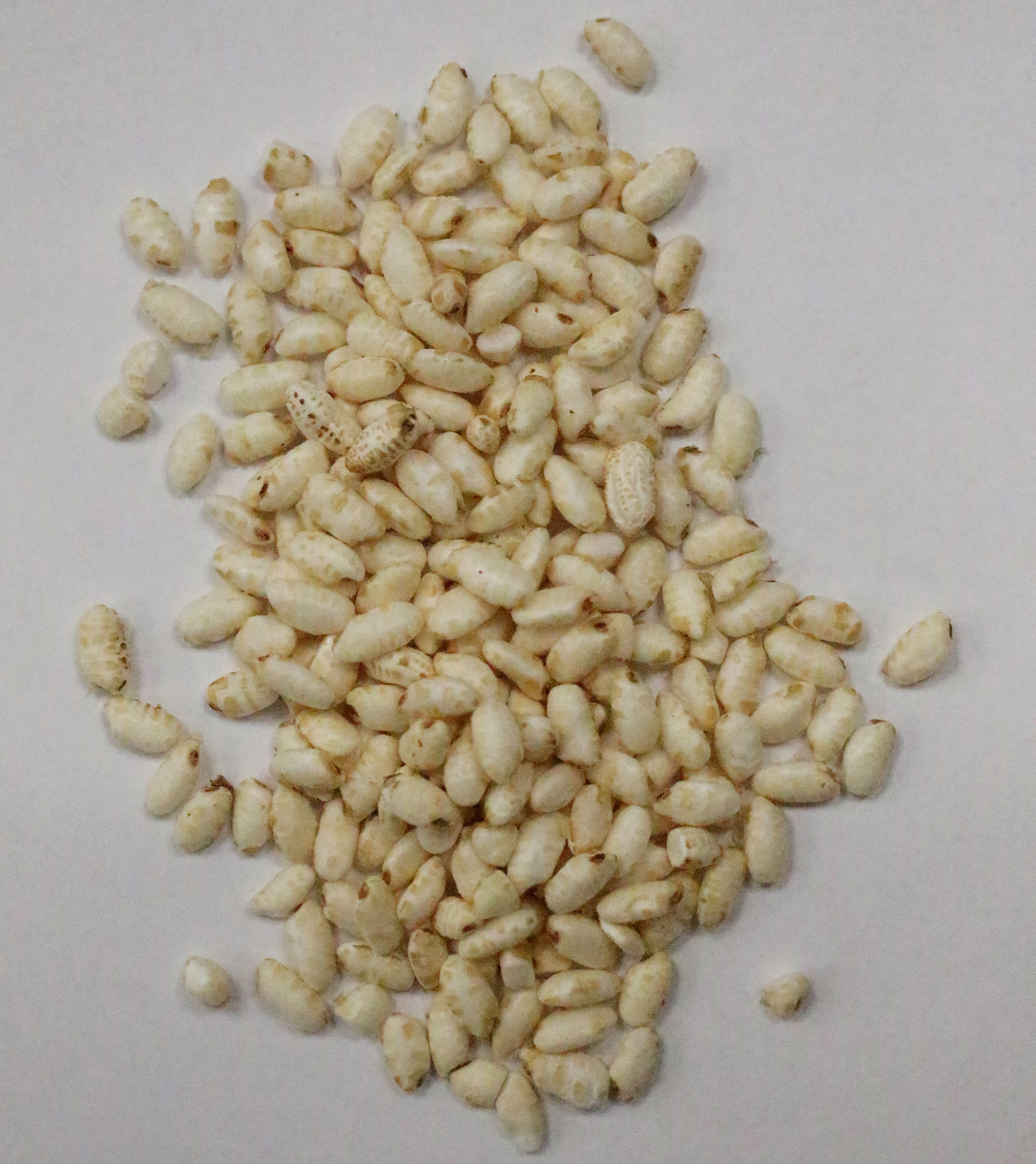 Puffed Brown Round Rice Gluten Free | Torg