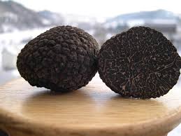 Truffle