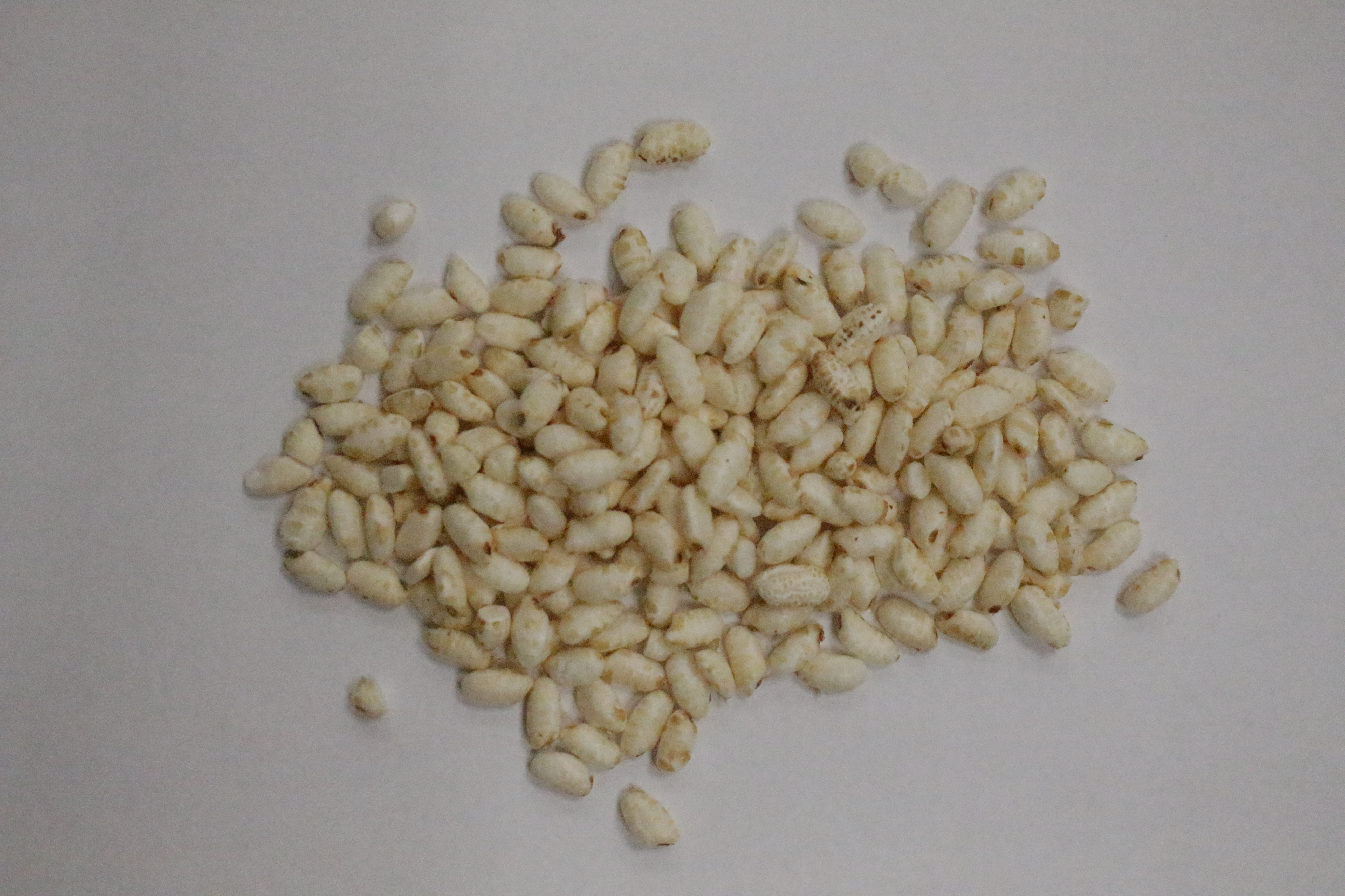 White Rice Round Gluten Free | Torg